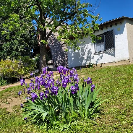 Aprolak * Залакарош