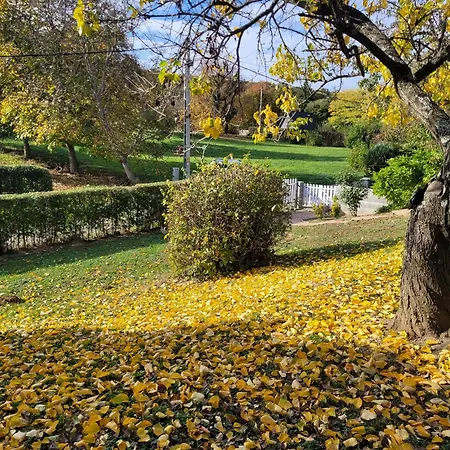 Aprolak - Erdohoez Koezeli Alpesi Fahaz, Paroknak Es Csaladoknak * Zalakaros