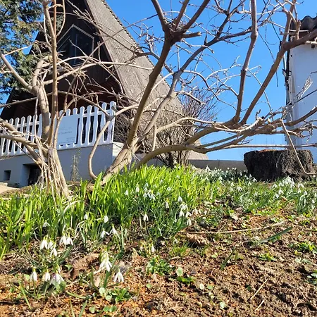 Aprolak - Erdohoez Koezeli Alpesi Fahaz, Paroknak Es Csaladoknak Dağ evi *