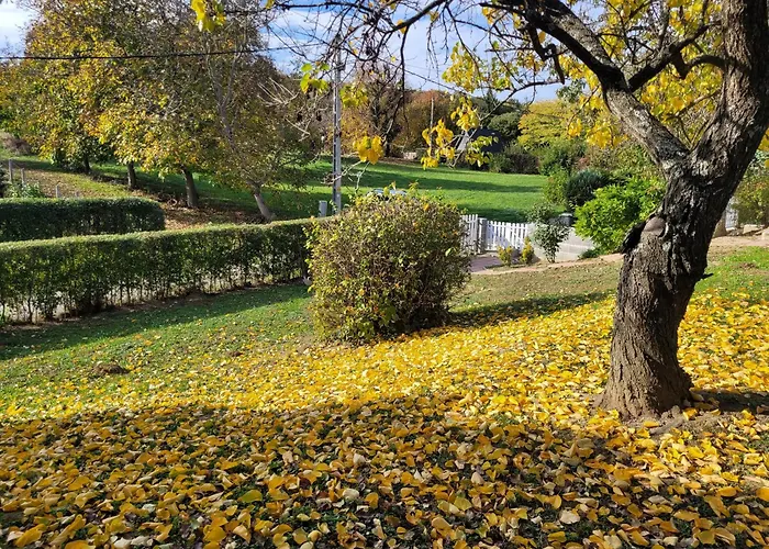 Aprolak - Erdohoez Koezeli Alpesi Fahaz, Paroknak Es Csaladoknak * Zalakaros