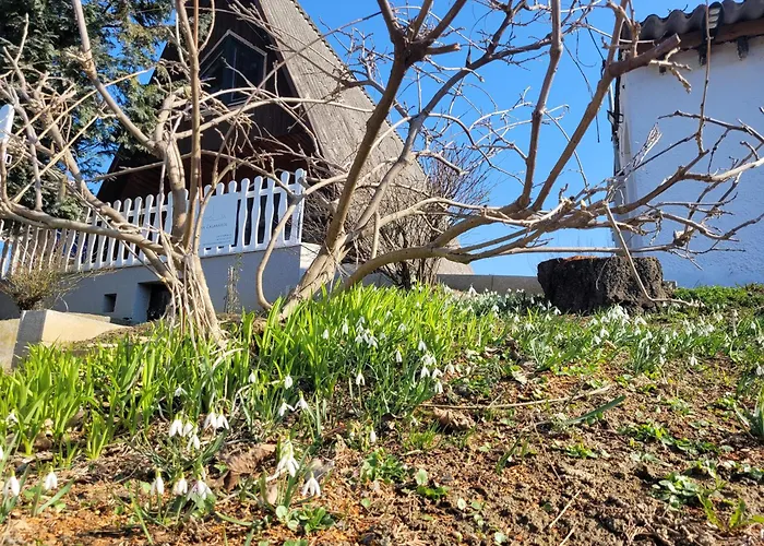 Aprolak - Erdohoez Koezeli Alpesi Fahaz, Paroknak Es Csaladoknak Dağ evi *